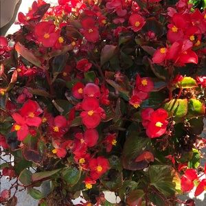 Meet your Posher, Jen